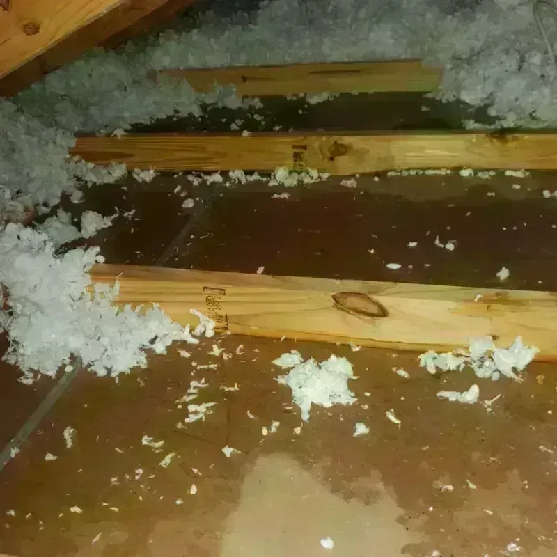 Attic Water Damage in Jacksonville Beach, FL