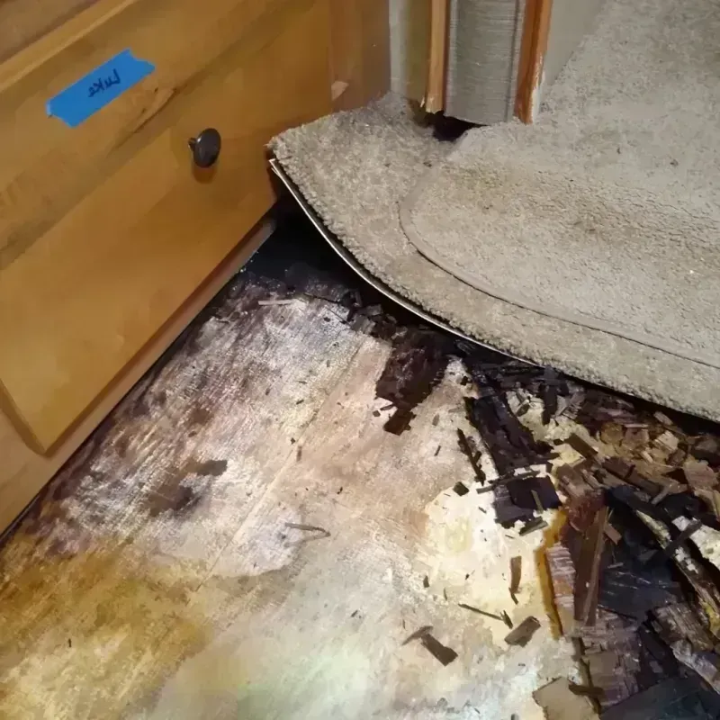 Wood Floor Water Damage in Jacksonville Beach, FL